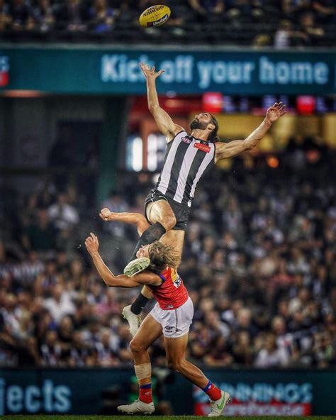 collingwood instagram